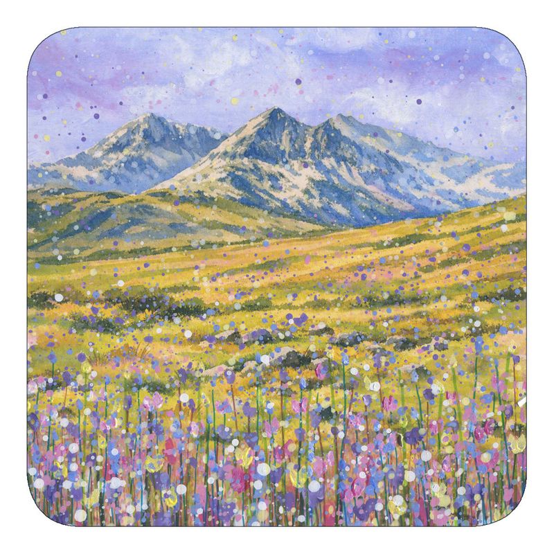 Snowdonia/Eryri Coaster