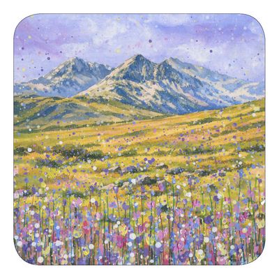 Snowdonia/Eryri Coaster