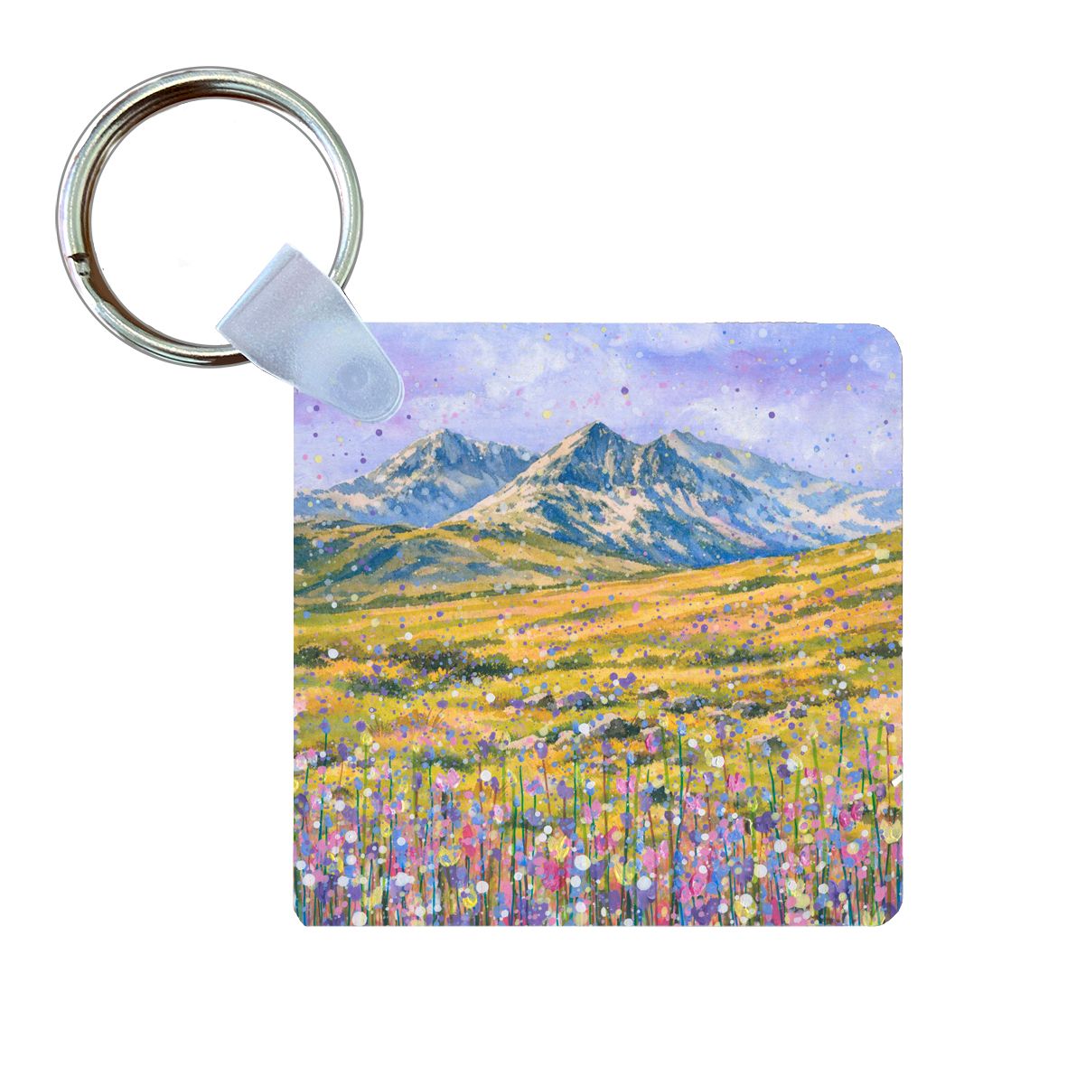 Snowdonia/Eryri Keyring Snowdonia/Eryri Keyring
