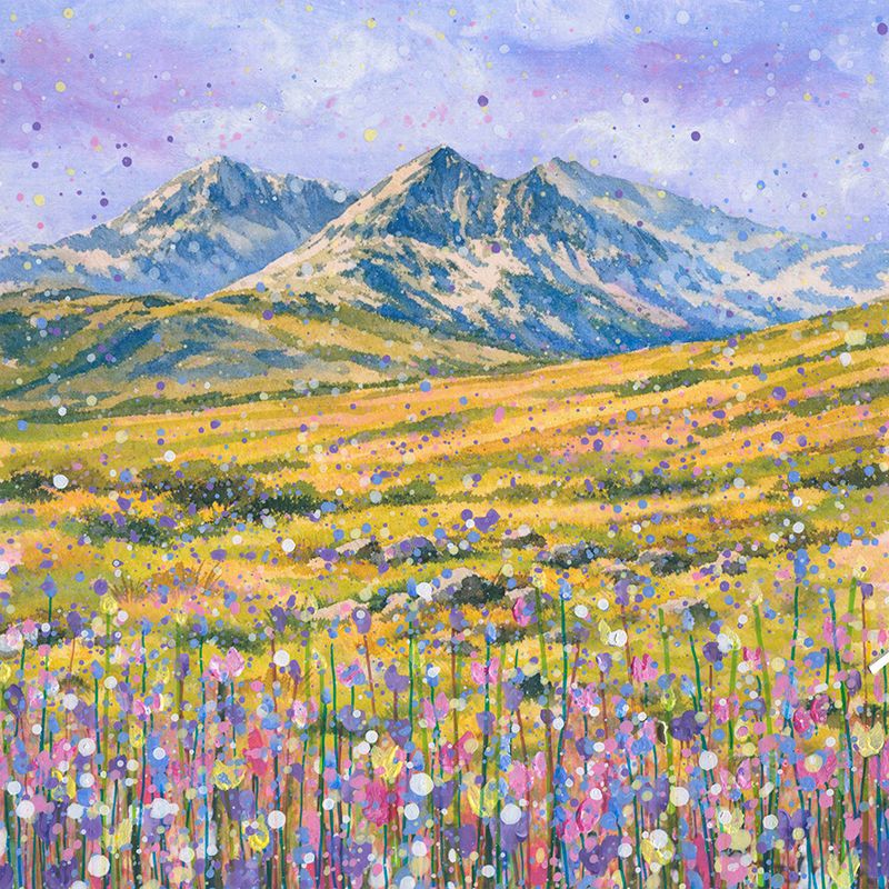 Snowdonia/Eryri Canvas Print