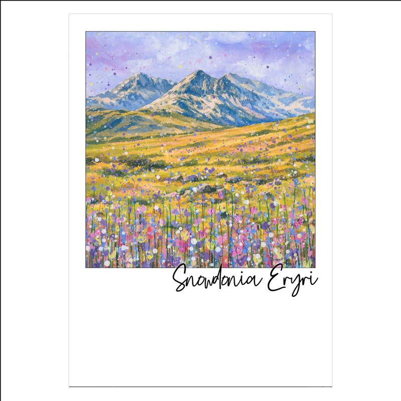 Snowdonia/Eryri Postcard
