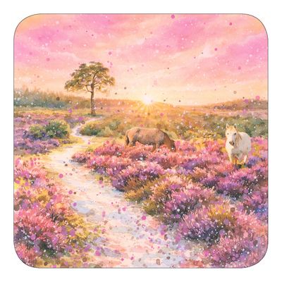New Forest at Sunset Coaster