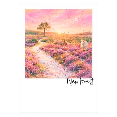 New Forest at Sunset Postcard