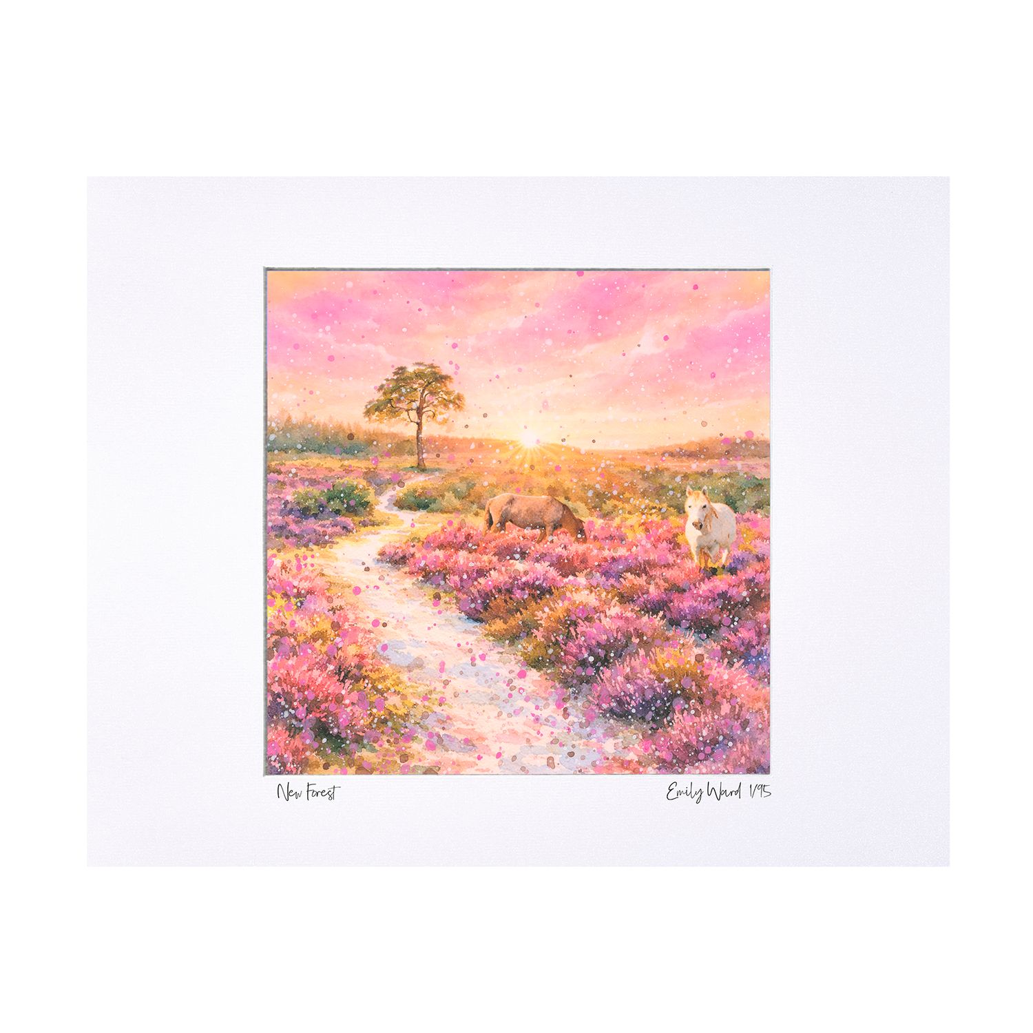 New Forest at Sunset Limited Edition Print