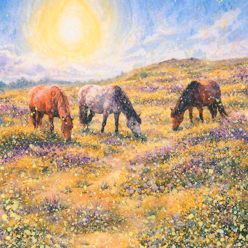 New Forest Canvas Print