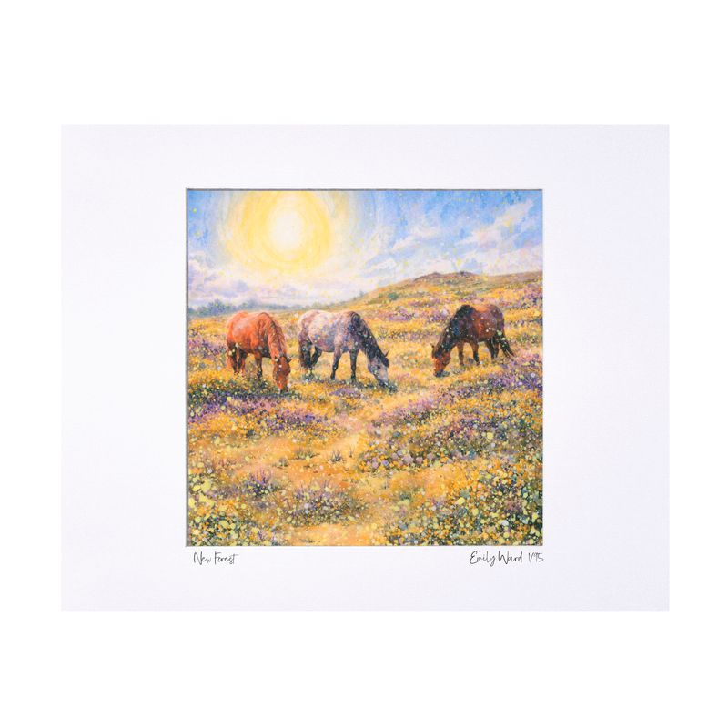 New Forest Limited Edition Print