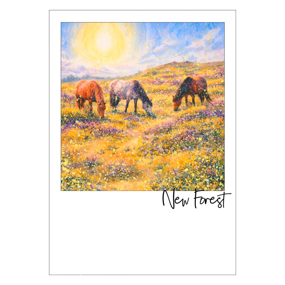 New Forest Postcard