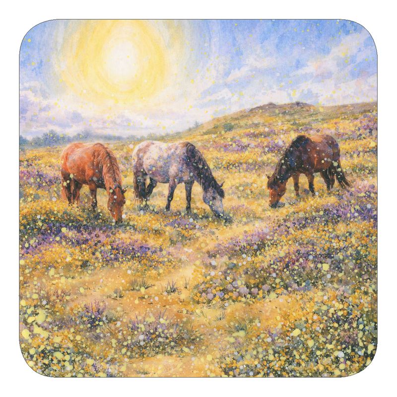 New Forest Coaster