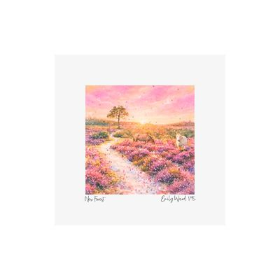 New Forest at Sunset Square Open Edition Print New Forest at Sunset Square Open Edition Print