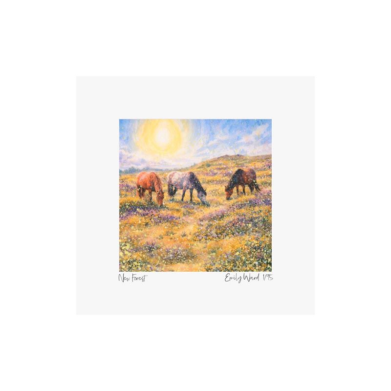 New Forest  Square Open Edition Print