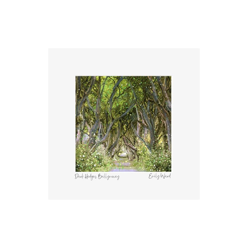 Dark Hedges, Ballymoney Square Open Edition Print