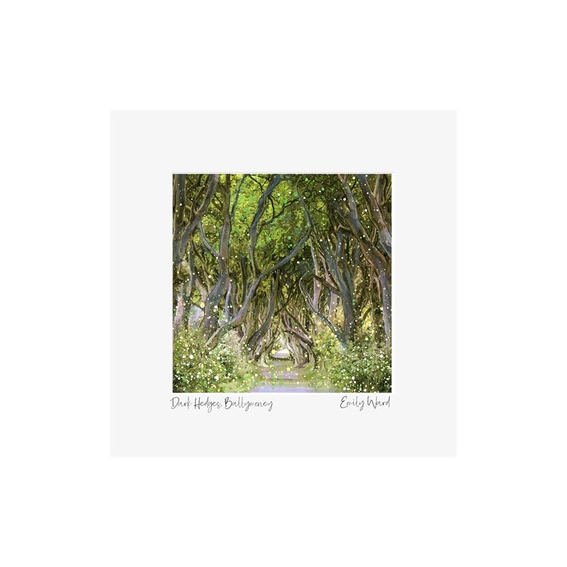 Dark Hedges, Ballymoney Square Open Edition Print