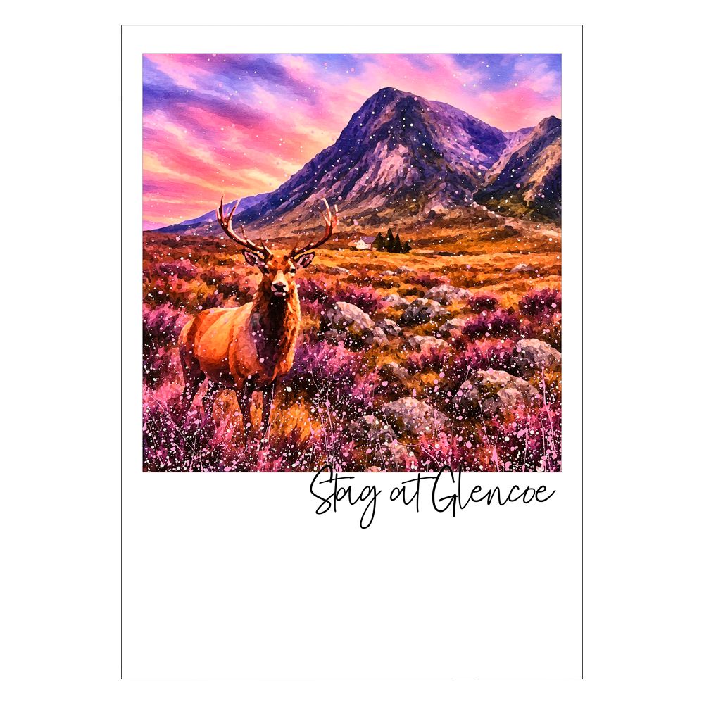 Stag at Glencoe Postcard Stag at Glencoe Postcard