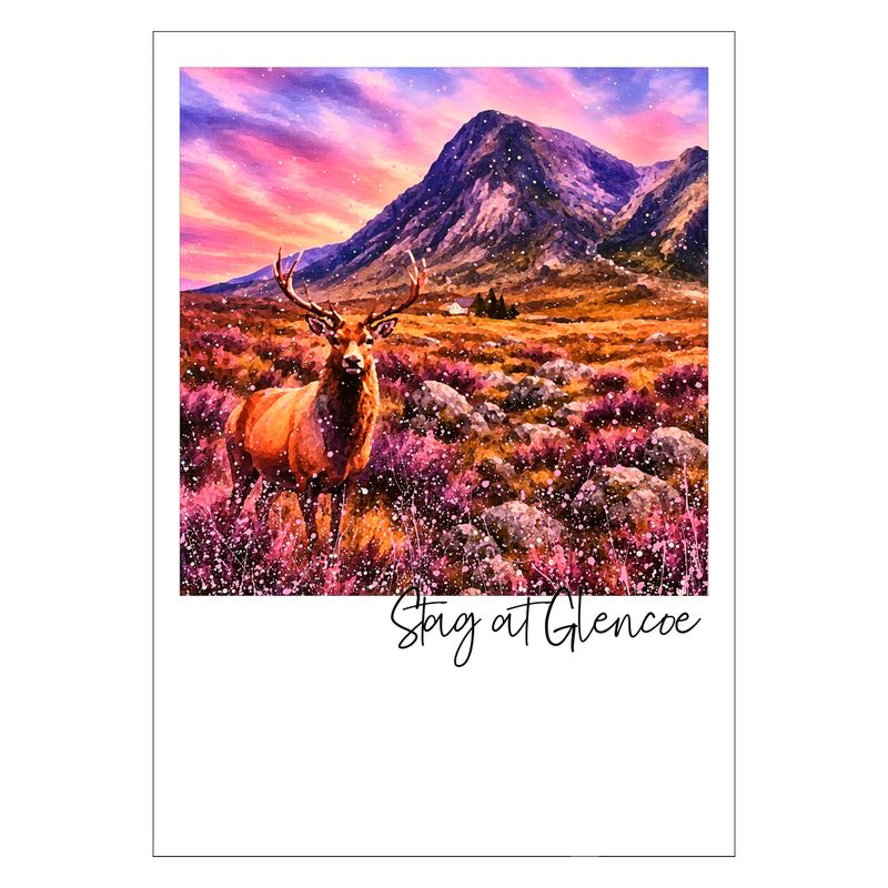 Stag at Glencoe Postcard