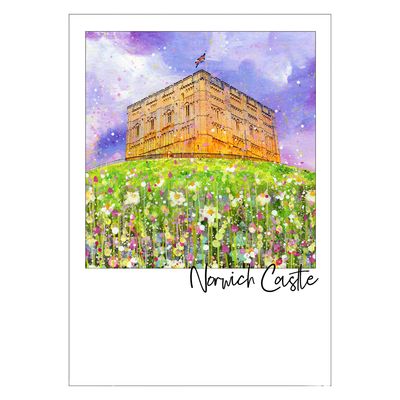 Norwich Castle Postcard Norwich Castle Postcard