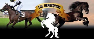 Equine Diet Plan