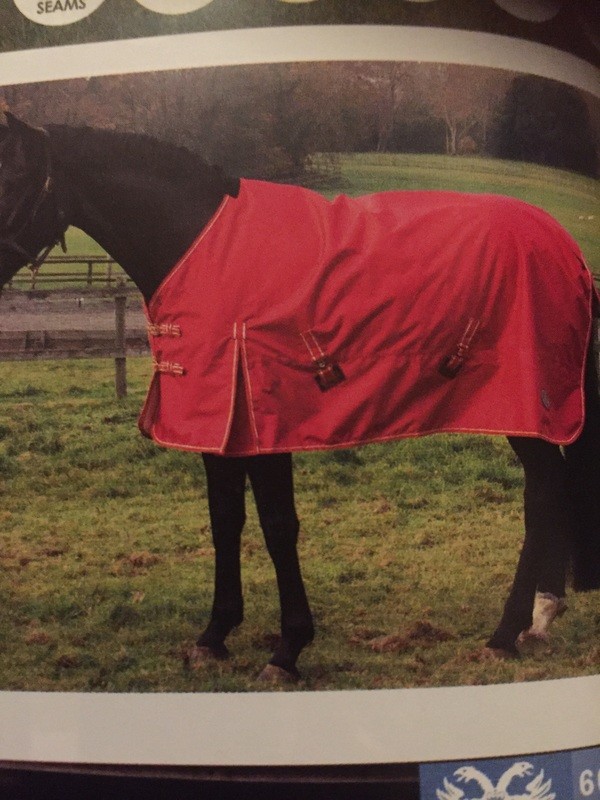 Lightweight outdoor rug. 600 denier ripstop , waterproof and breathable. No poly fill  