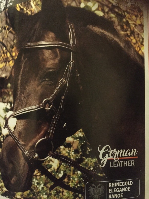 German leather bridle with Mexican noseband 