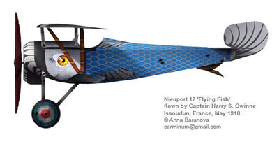 1/48 Nieuport 17 &quot;Flying Fish&quot;