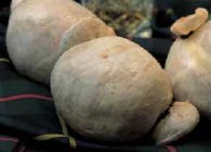 Haggis