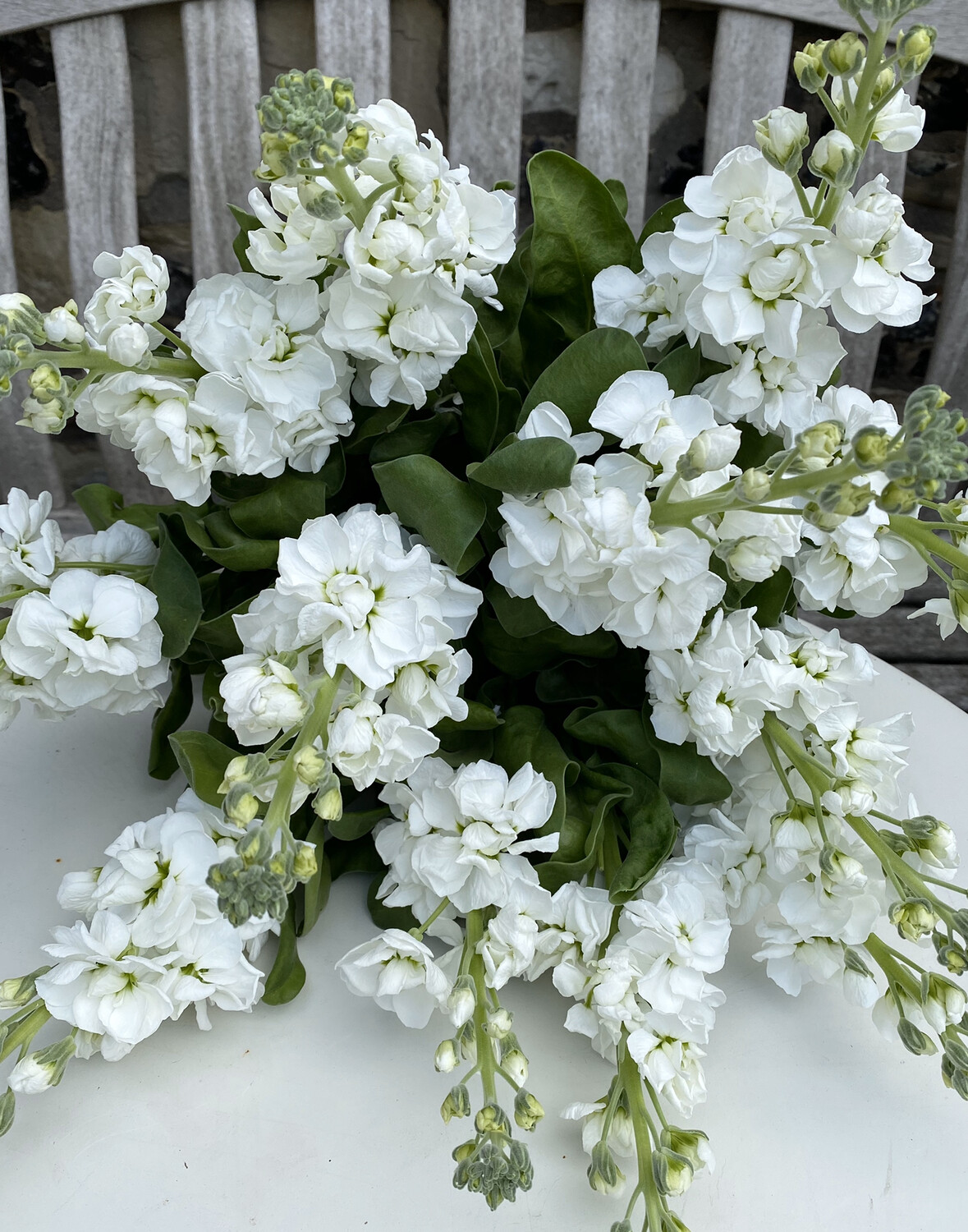 Stock Bouquet