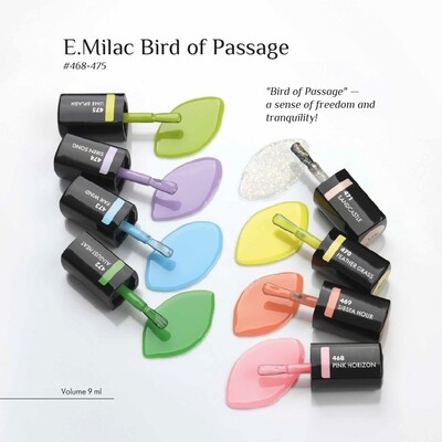 Collection Bird of Passage