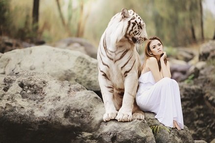 Women with White Tiger Picture Print with Frame