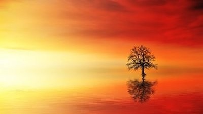 Sunset Picture Print with Frame