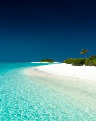 Tropical Beach - Picture Print with Frame