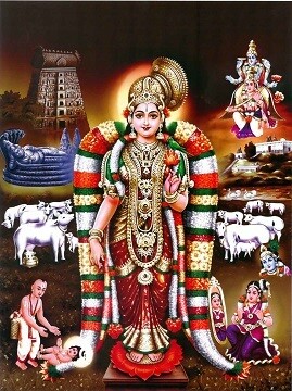 Goddess Meenakshi - Matt Laminated Photo Frame