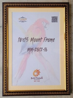 Personalized Photo Mount Frames (Select Frame Size and Upload your Photo here)