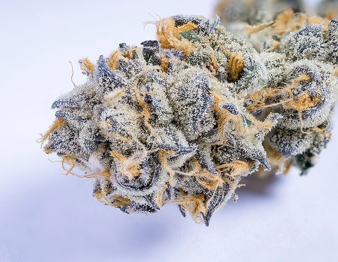 GirlScoutCookies
