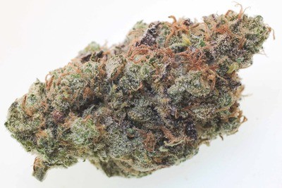 Grape god