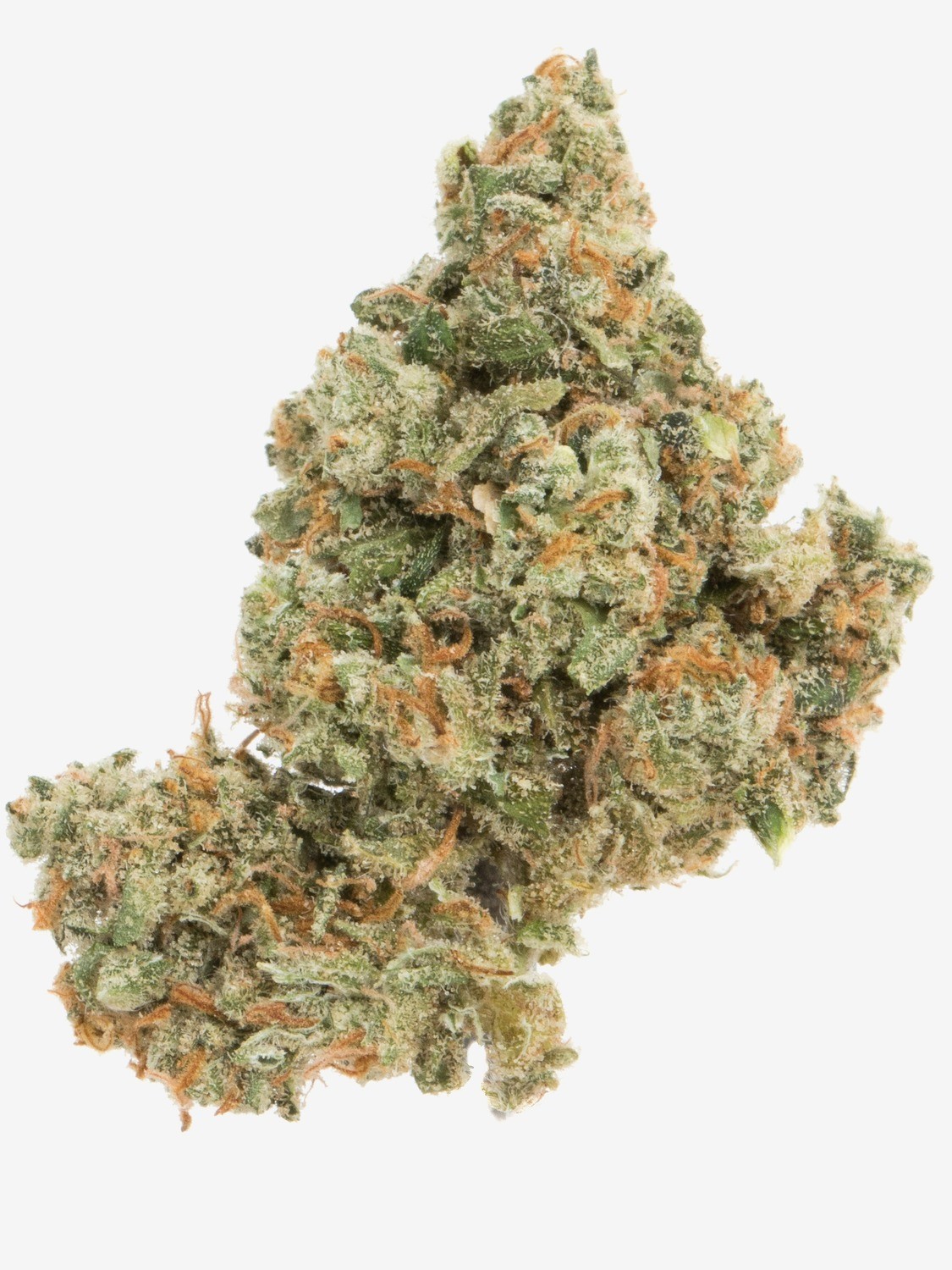JACK HERER