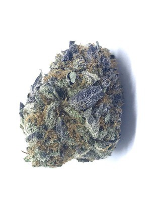 Original Glue #4