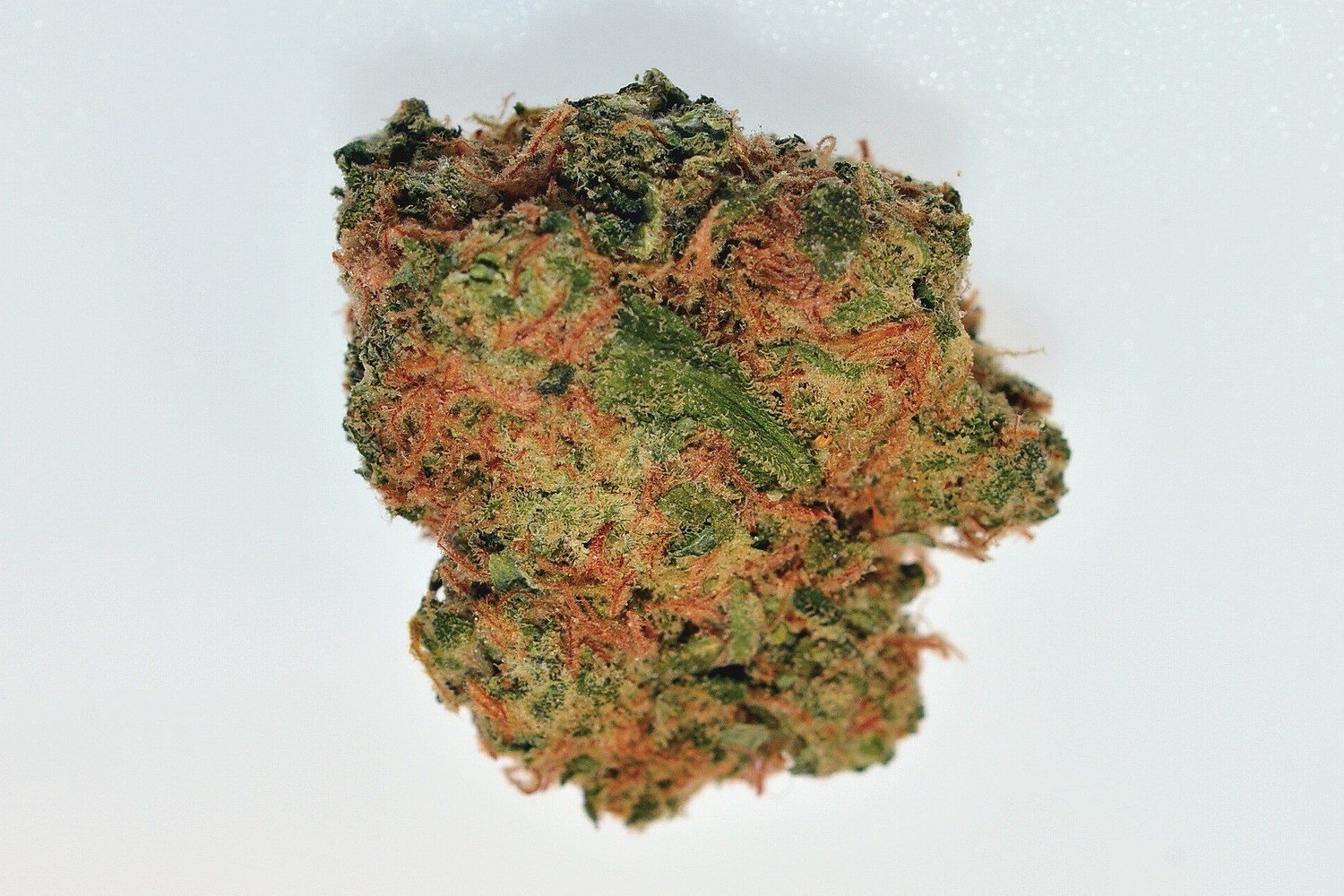 Alien OG
