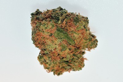 Alien OG