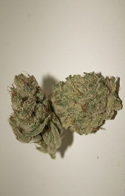 Candyland