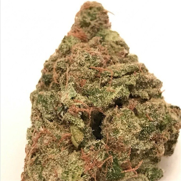 Blue Widow
