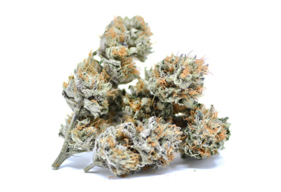Caramel Candy Kush