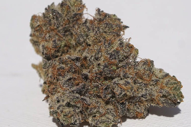 Zookies