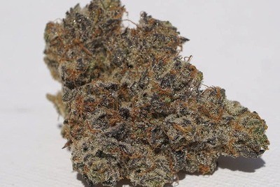 Zookies