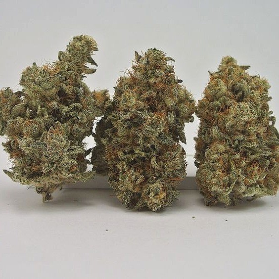 Blackberry Kush