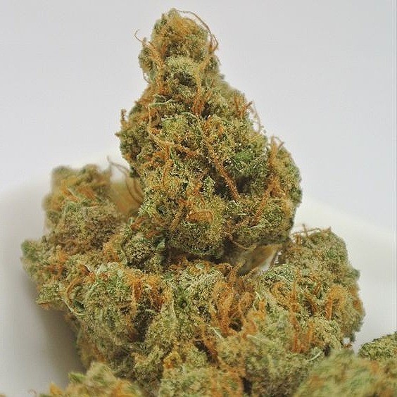 Silver Haze