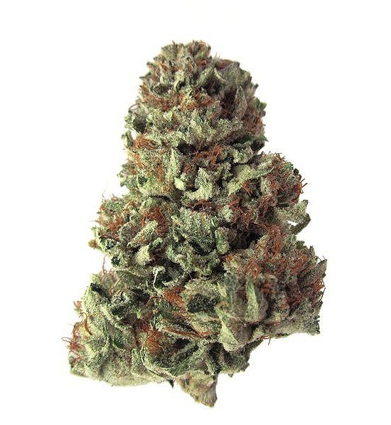 Kings Kush