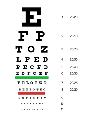 VISION CARE- PREVENT BLINDNESS SUPPORT