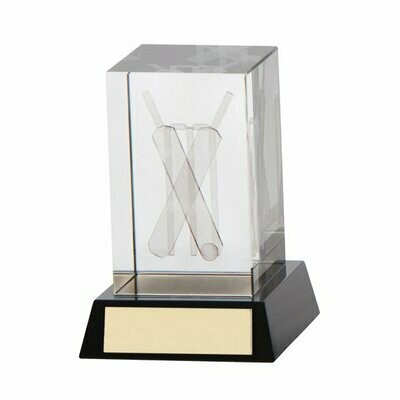 Cricket glass award