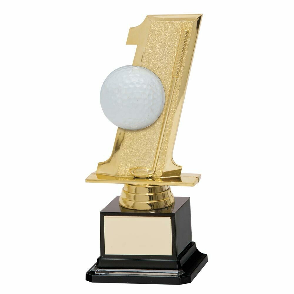 "HOLE IN ONE" GOLF AWARD