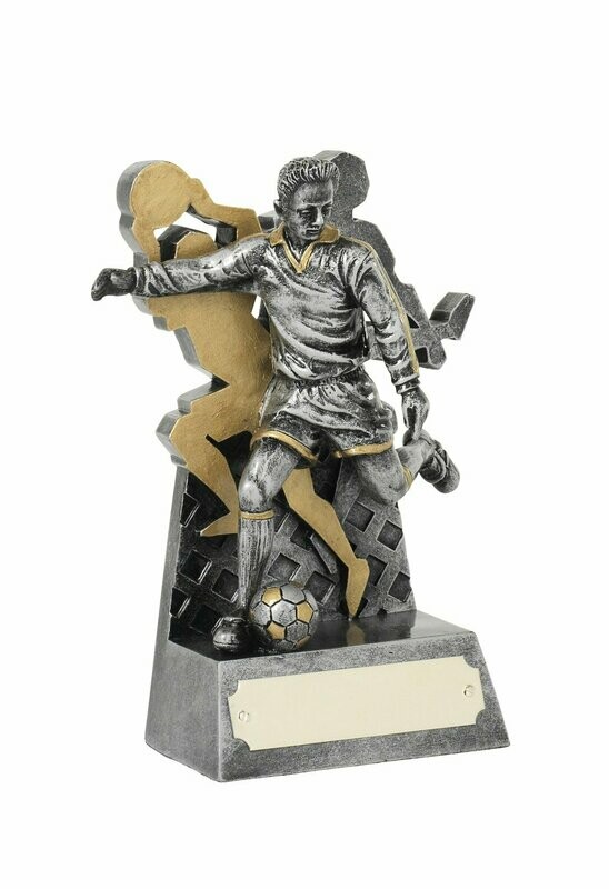 Footballer and Goalkeeper Award