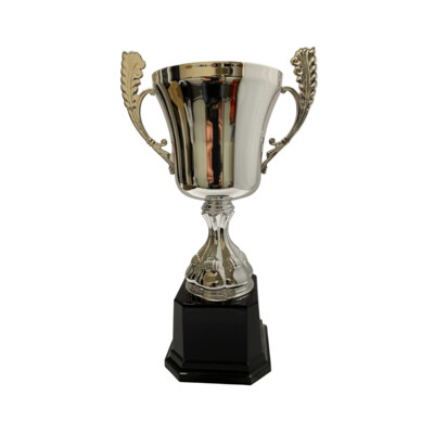 Euro Trophy Cup Award on Heavyweight Base